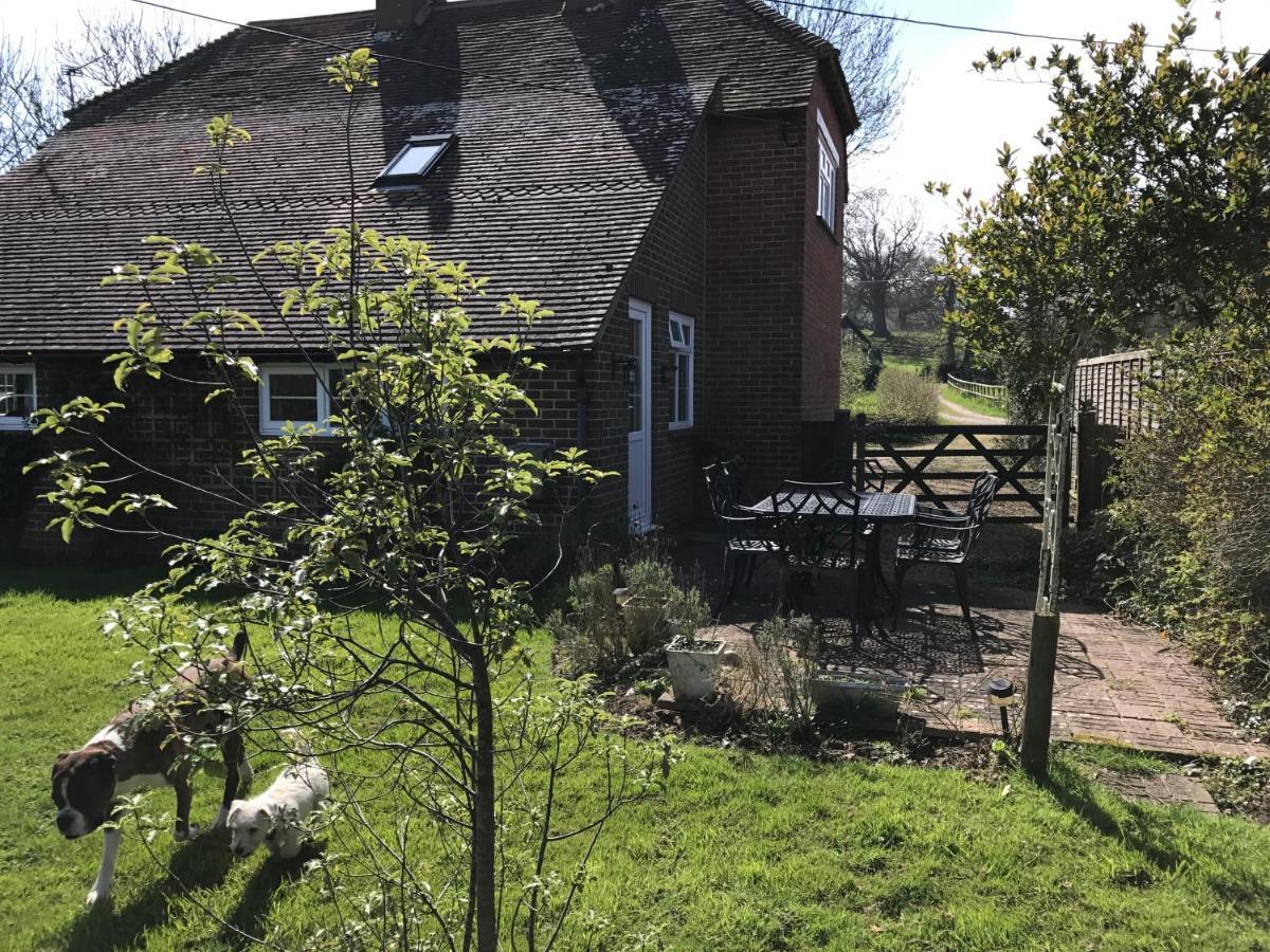 Godshill Park Cottages Экстерьер фото